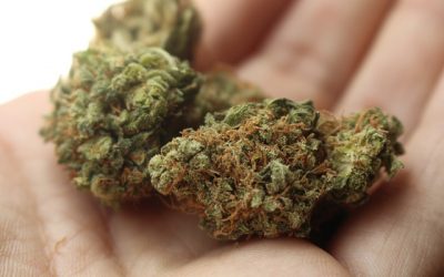 Marijuana and Mental Health: What You Need to Know